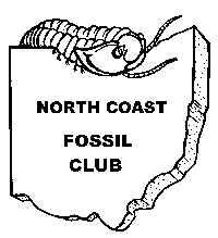 NCFC Logo