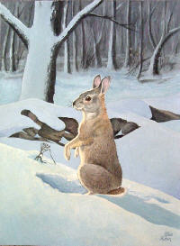 Rabbit in Winter