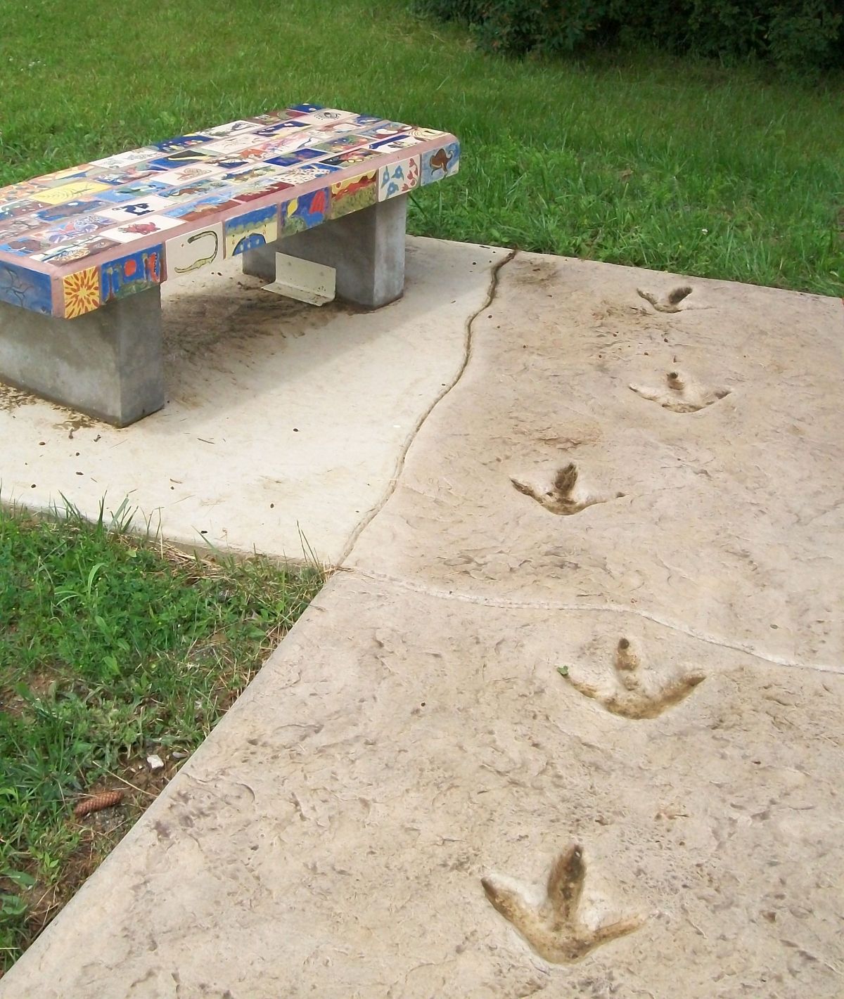 Moa tracks and benches