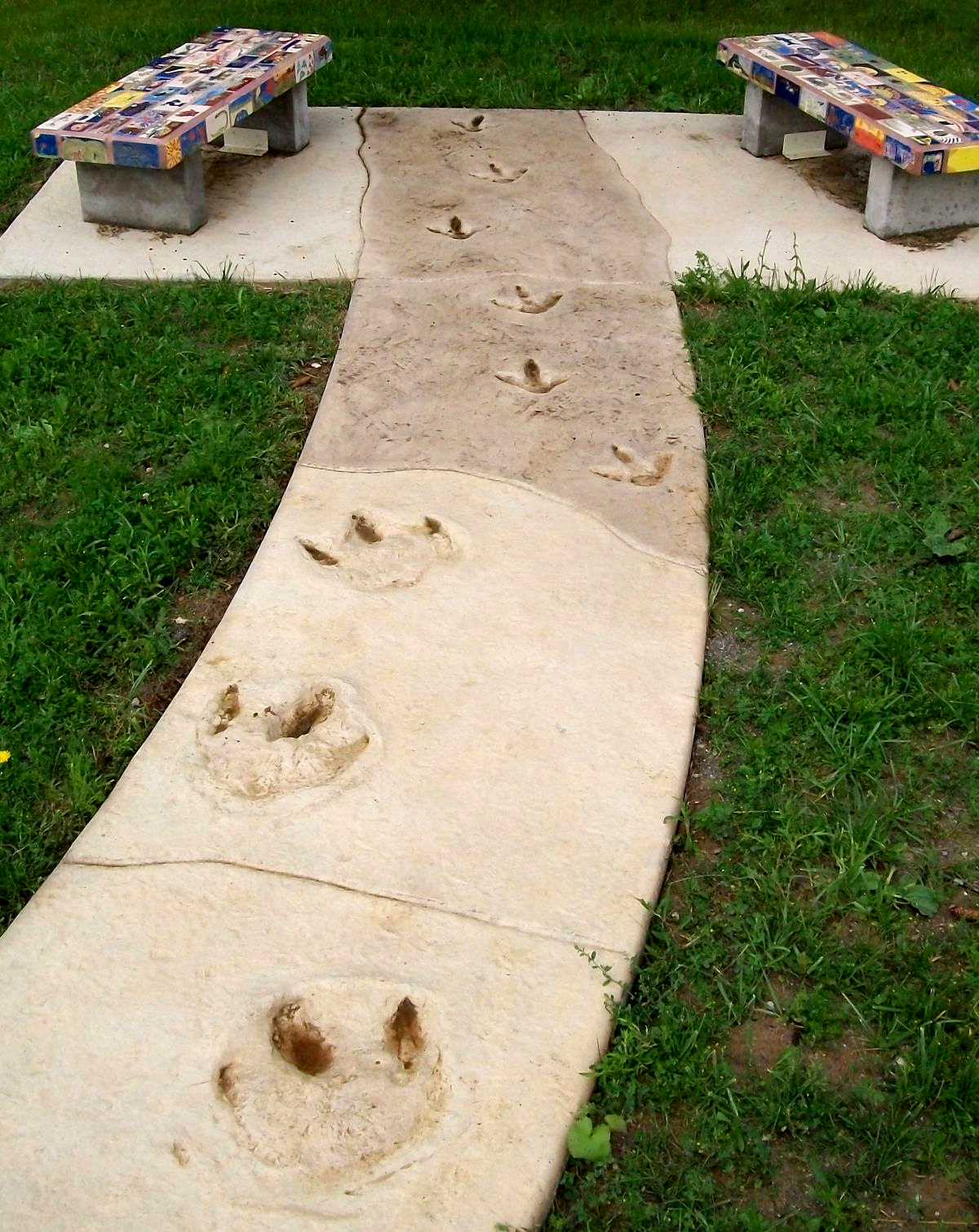 Hadrosaur tracks