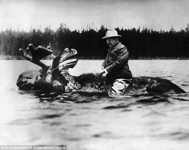 1912 Roosevelt on moose