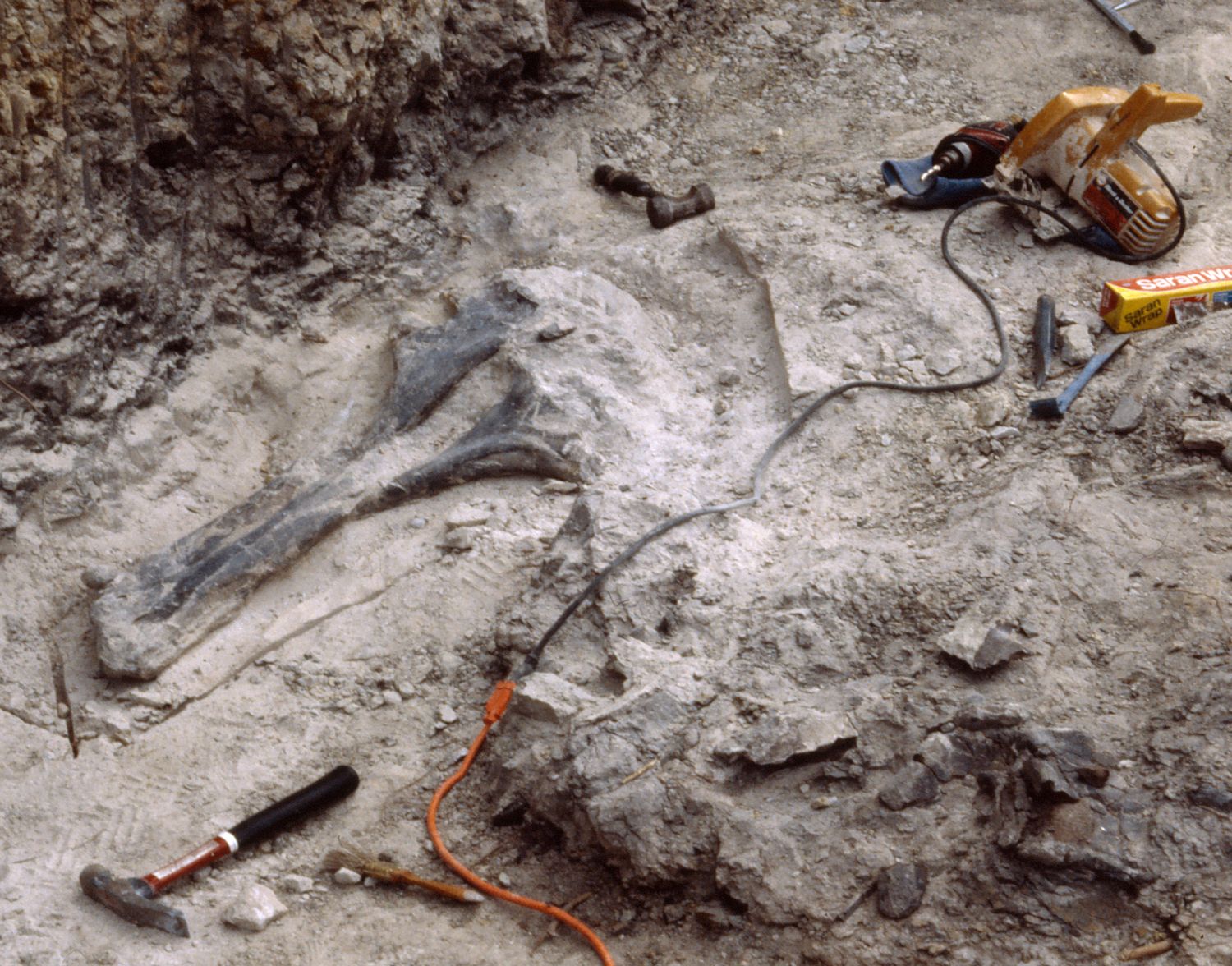 Acro bone site, 1984