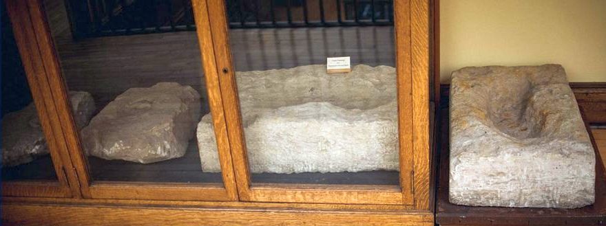 Ket museum sloth tracks display