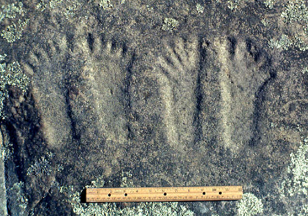 Illinois markings