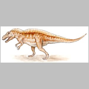 Acrocanthosaurus drawing