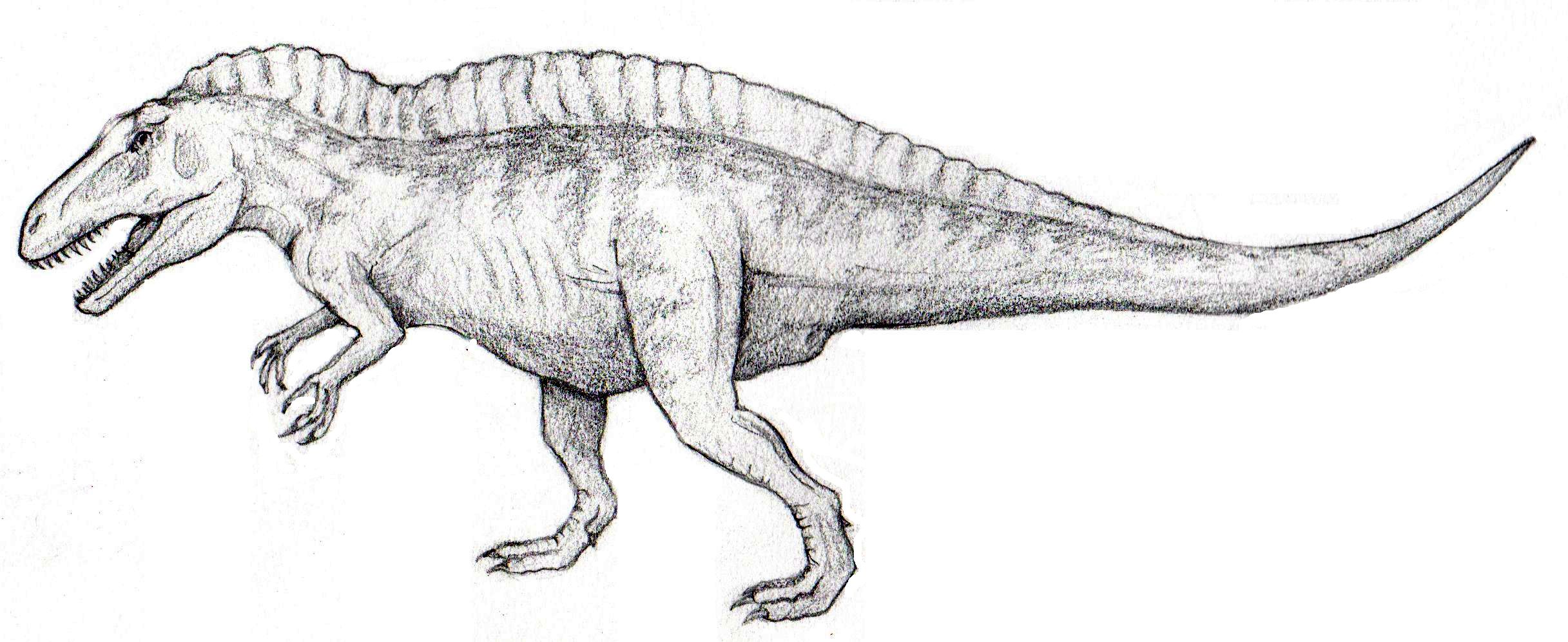 Acrocanthosaurus Pencil 